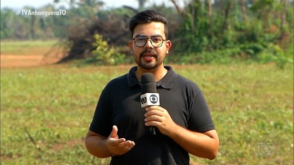 Tocantins registra redução de 85% da área desmatada, segundo boletim estadual