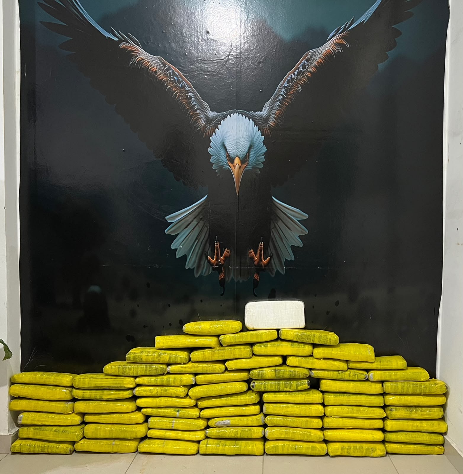 Polícia Civil apreende 51 kg de maconha e 1,2 kg de cocaína em Petrolina 