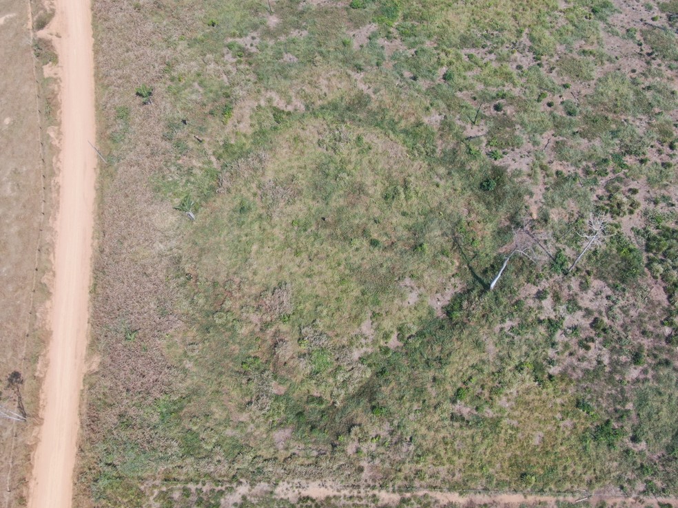 Segundo geoglifo encontrado tem formato de um D e está em uma área densa de mata — Foto: Arquivo pessoal/Larissa Miranda