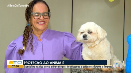 Produtos de limpeza podem causar intoxicação em animais de estimação; confira cuidados
