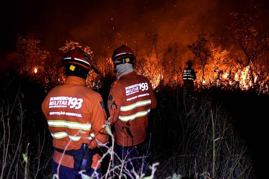 Ministério Público investiga incêndio que atingiu 6 mil hectares no Pantanal