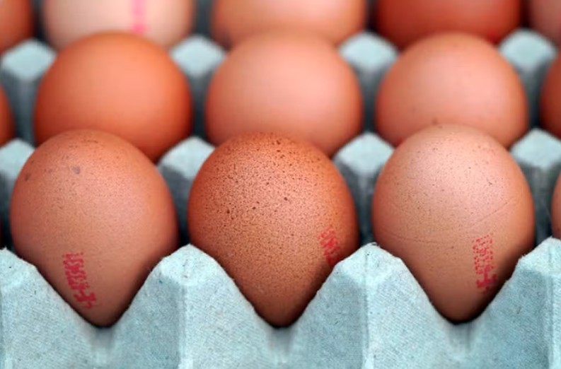Veja dicas de nutricionista para escolha de ovos no mercado e armazenamento em casa