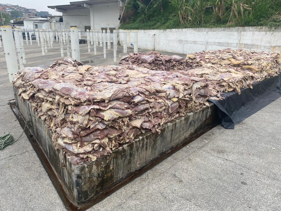 Carne apodrecendo que seria revendida é encontrada em Carapicuíba — Foto: Divulgação