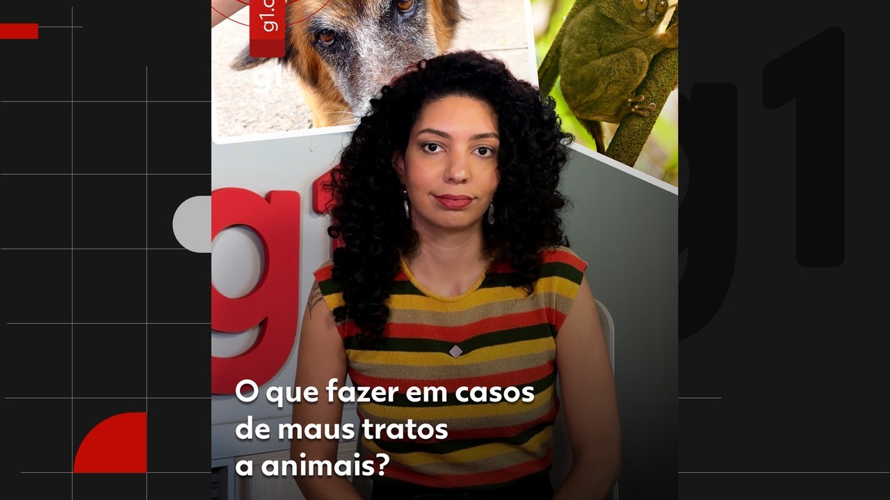 Idoso é investigado por zoofilia após ser filmado abusando de pata no litoral de SP
