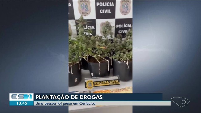Plantao de drogas; uma pessoa  presa em Cariacica