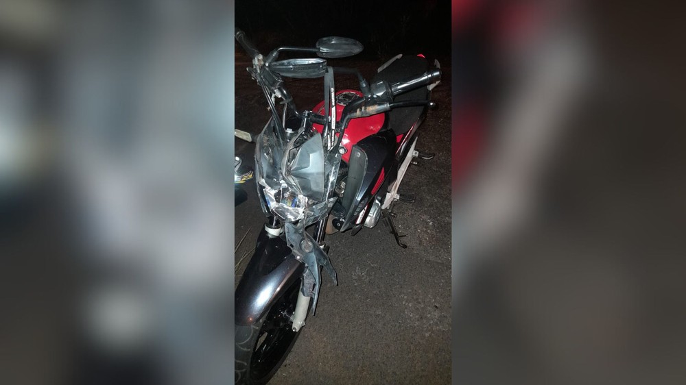 Jovem bate moto em cavalo solto e animal morre no interior de SP