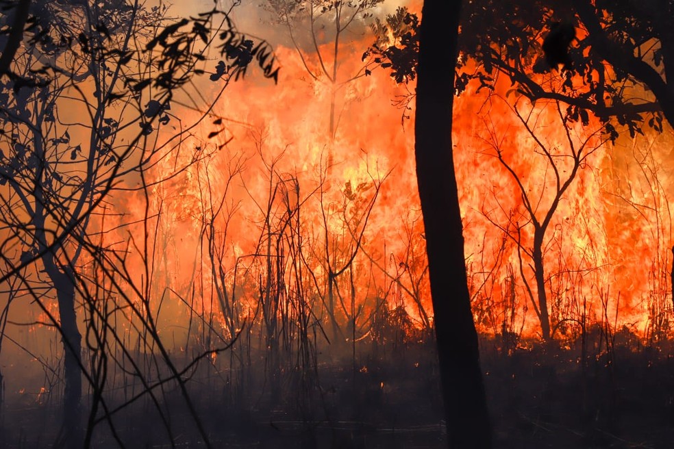 Incêndio na vegetação próxima ao Aeroporto de Palmas — Foto: Djavan Barbosa