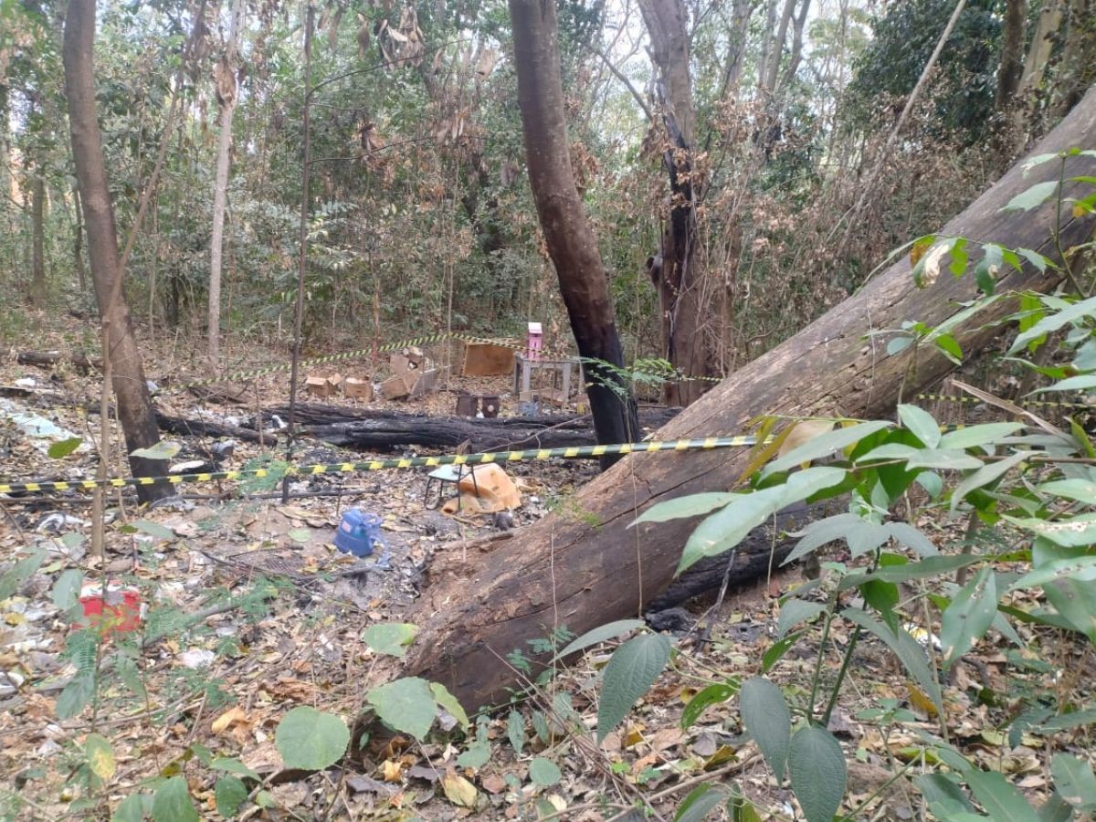 Cadáver é encontrado em rio de Campinas; ossada, em área de mata de Jaguariúna