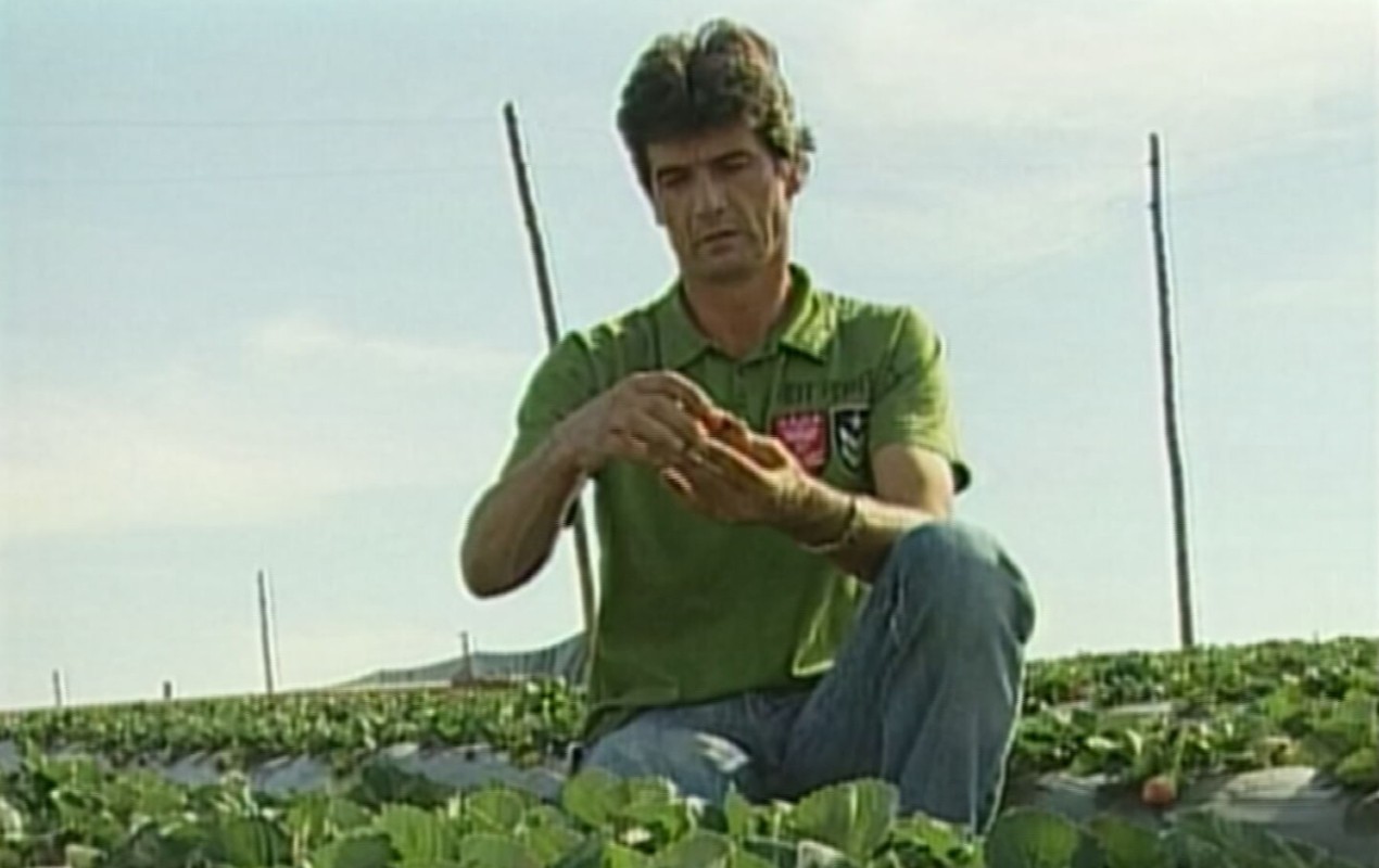 Julgamento sobre assassinato do 'rei do morango' começa em Jarinu