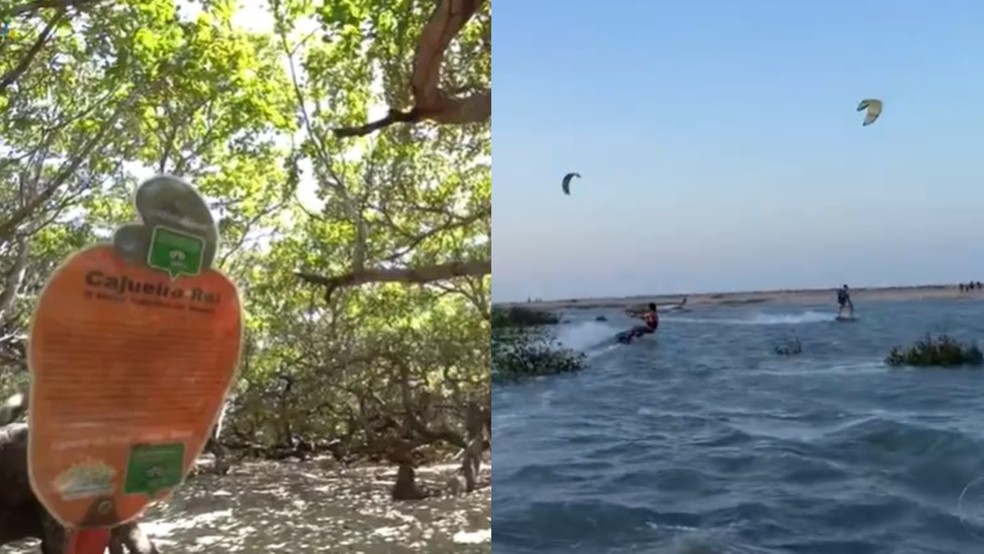 Vim te Mostrar nas Férias — Foto: TV Clube