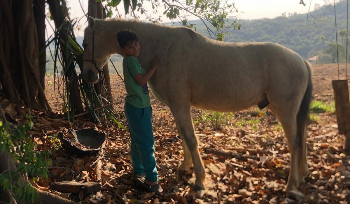 Menino de 9 anos do interior de SP vende cavalo para tentar vaga no Bolshoi