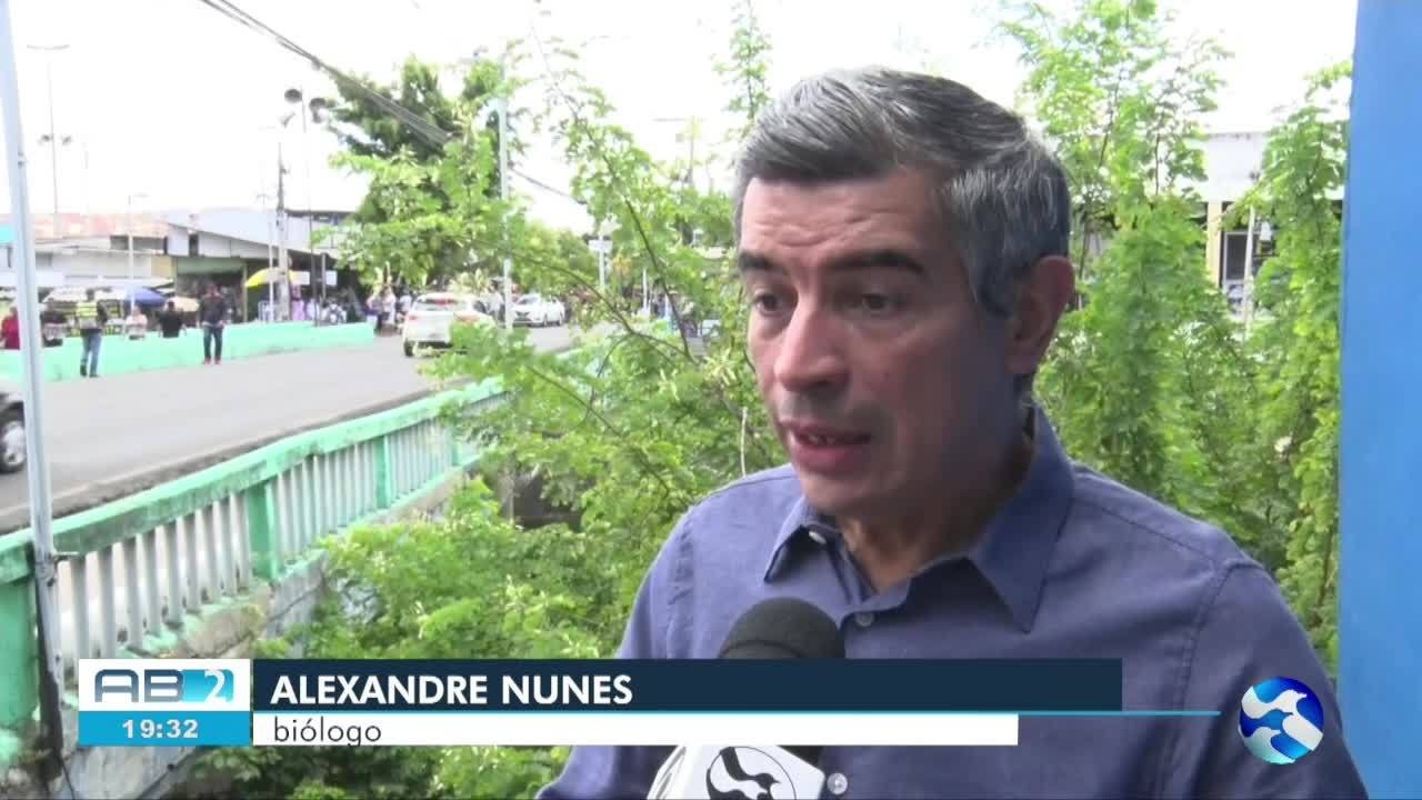 VÍDEOS: AB2 de quarta-feira, 6 de novembro de 2024