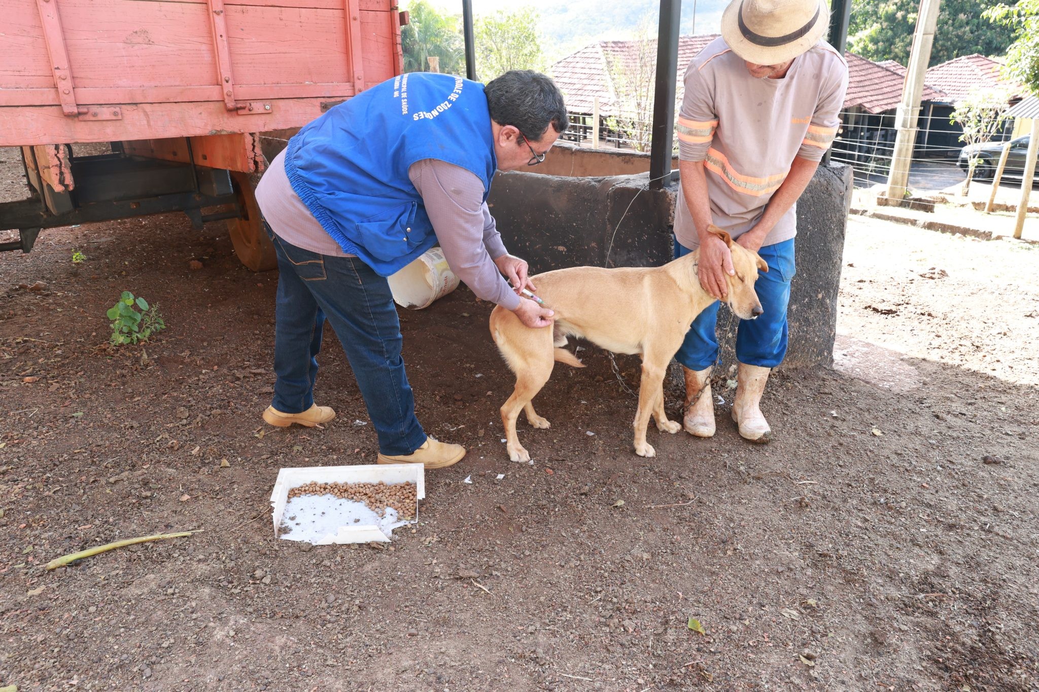 Vacinação contra a raiva de cães e gatos começa em julho em Uberlândia; veja calendário