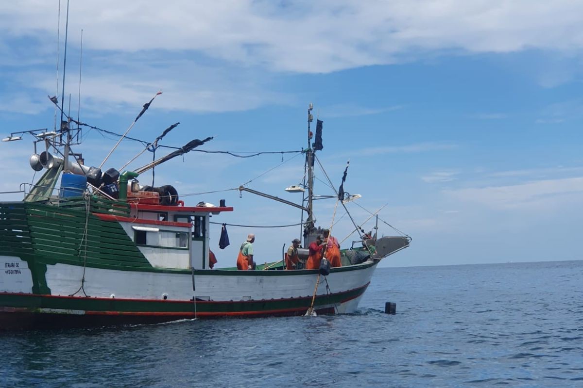 Rede de 18 km rende multa de R$ 703 mil a pescadores no litoral de SP