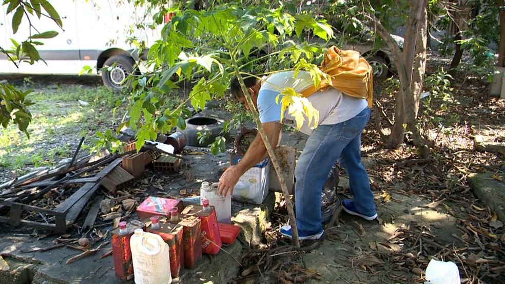 Ação de combate à dengue no bairro Ilha de Santa Maria, em Vitória — Foto: Reprodução/TV Gazeta