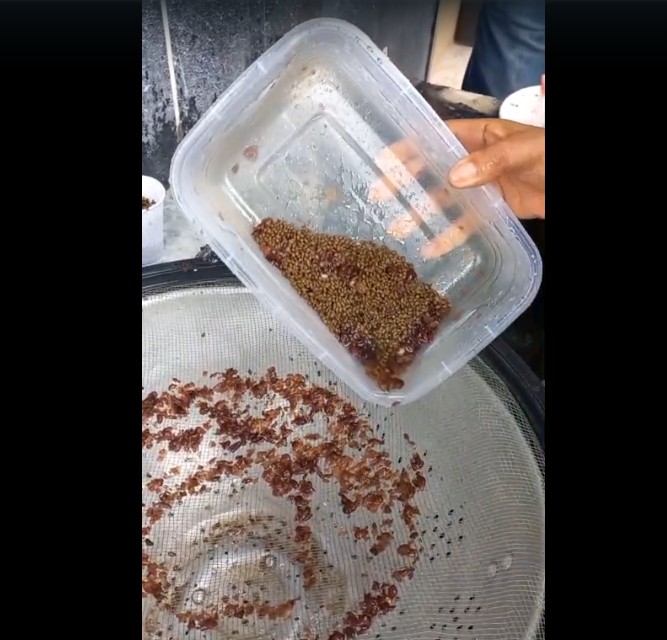 Visitante é flagrada com maconha escondida em pote de feijão em penitenciária de Bangu
