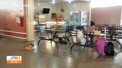 Comerciantes e passageiros reclamam de insegurança na rodoviária de Palmas