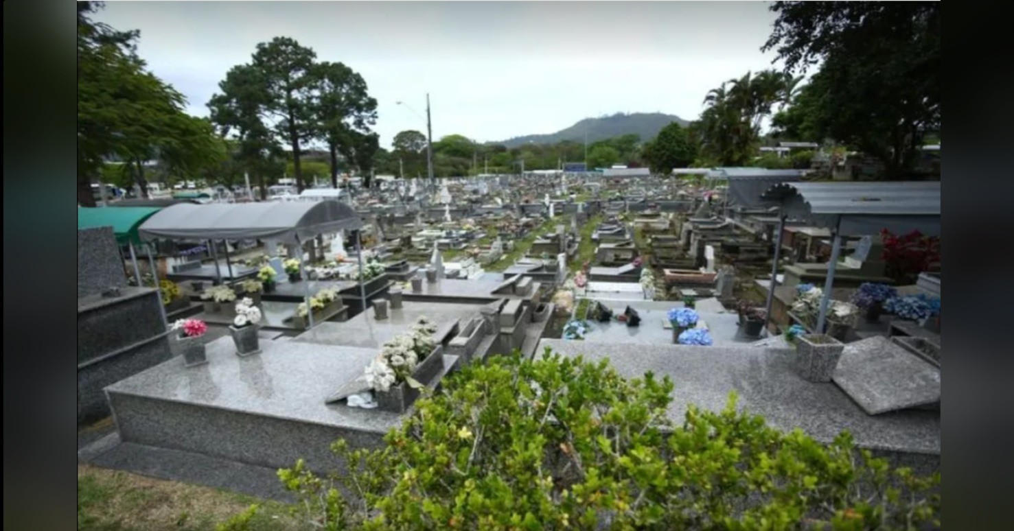 União além da vida: Florianópolis permite enterrar pets com tutores em cemitérios; saiba como