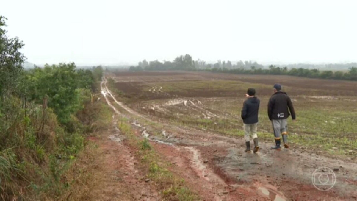Perdas provocadas pelas enchentes no RS fazem com que agricultores pensem em desistir da atividade