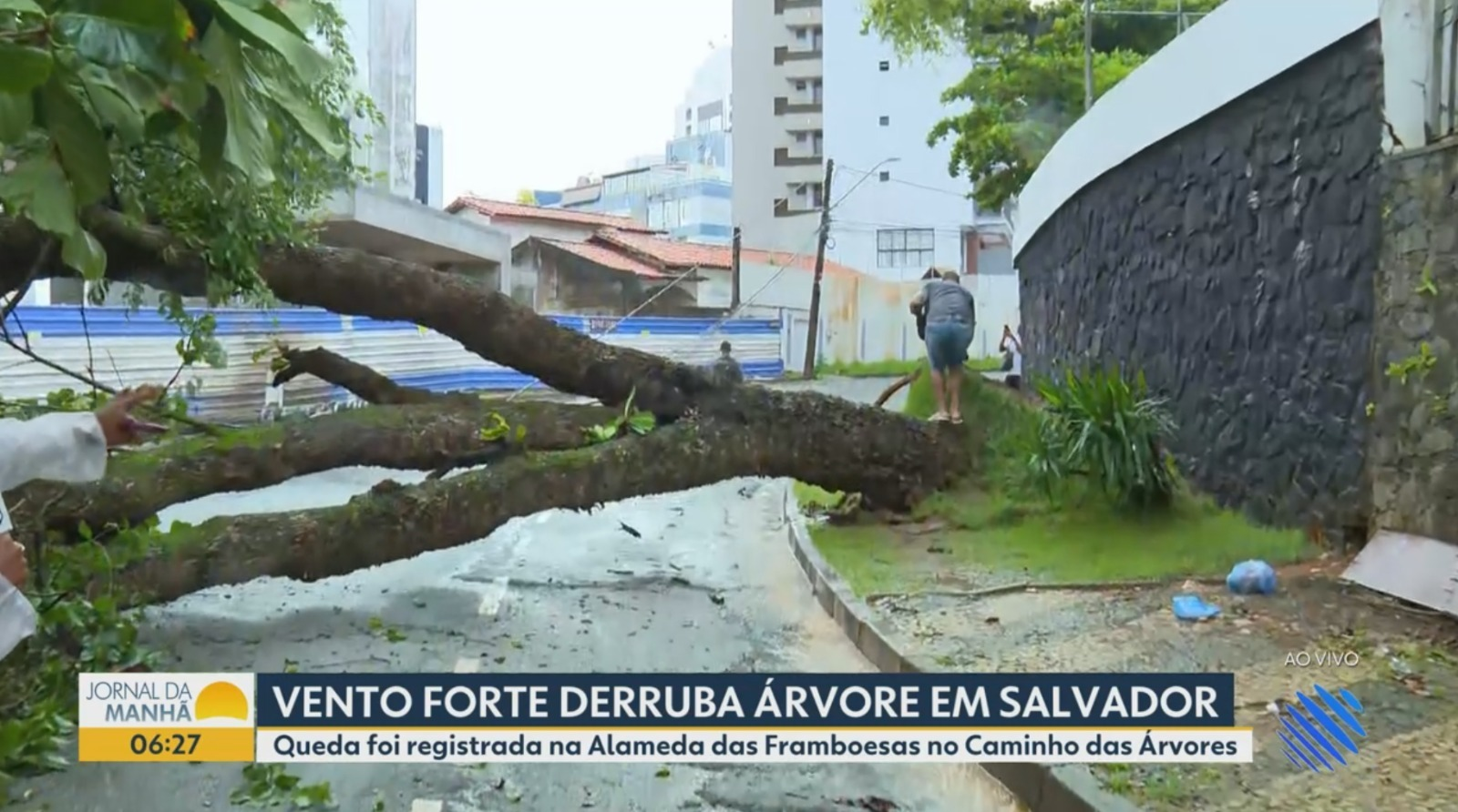 Vídeos do g1 e TV Bahia - sexta-feira, 5 de junho de 2026