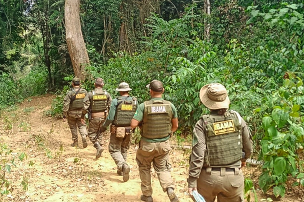 Operação de combate a crimes ambientais na TI Apyretewa, no Pará. — Foto: Reprodução / Ibama