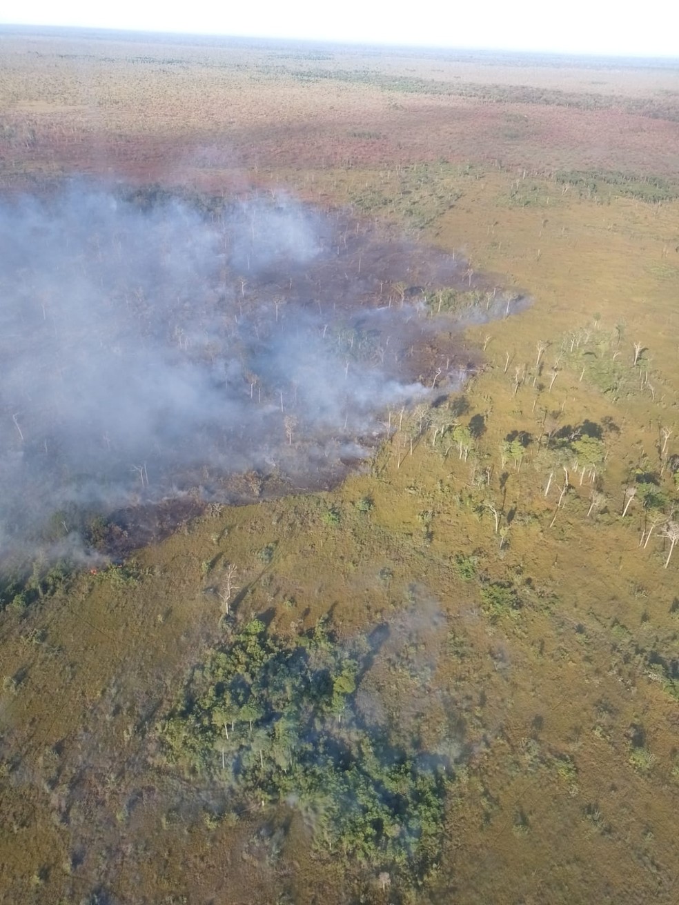 Panorama da área afetada pelo incêndio na Ilha do Bananal — Foto: Divulgação/ICMBio