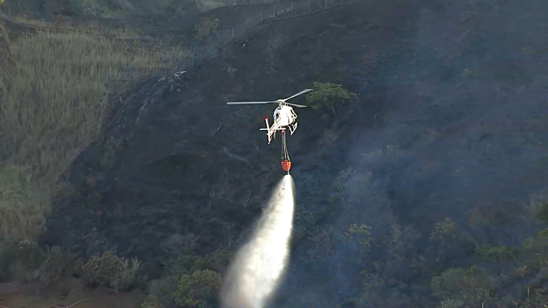 Incêndio na Serra do Curral mobiliza bombeiros, brigadistas e helicóptero em BH; chamas chegaram perto de casas