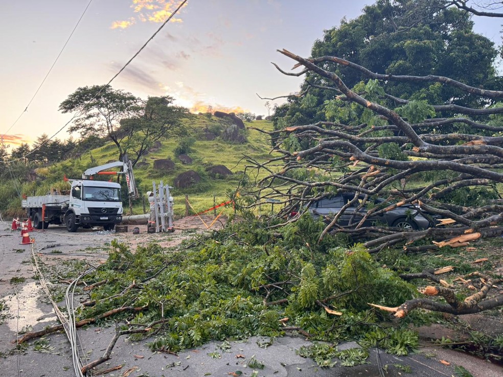 Queda de árvore matou morador de Itupeva (SP) durante chuva — Foto: Wânyffer Monteiro/TV TEM