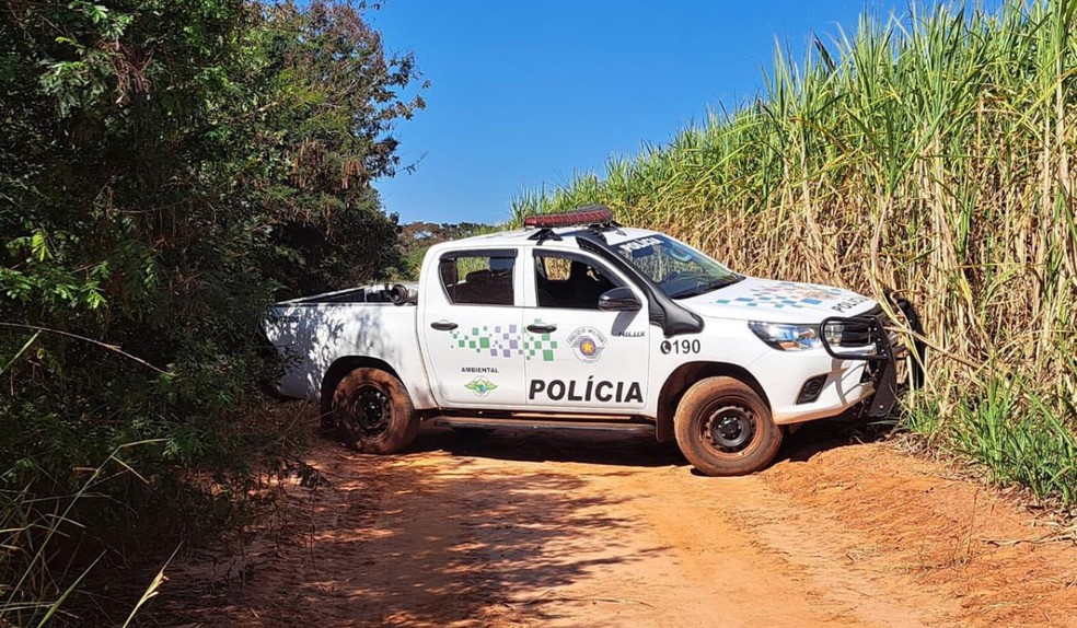 Número de incêndios em vegetação cresce e ultrapassa 260 casos em maio na região de Presidente Prudente (SP) — Foto: Polícia Militar Ambiental/Divulgação