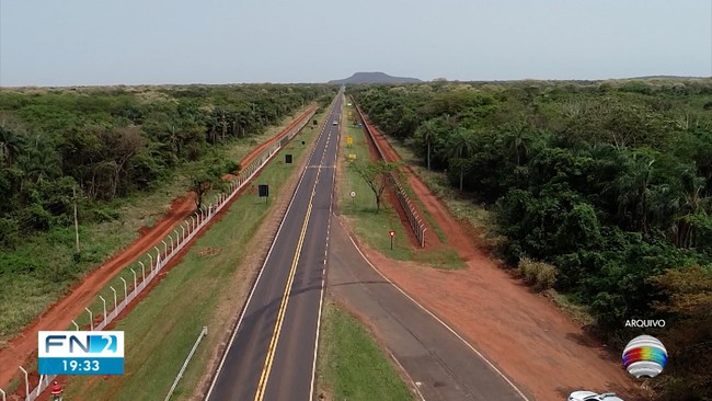 Alambrados buscam evitar acidentes e proteger espécies na Rodovia Arlindo Béttio