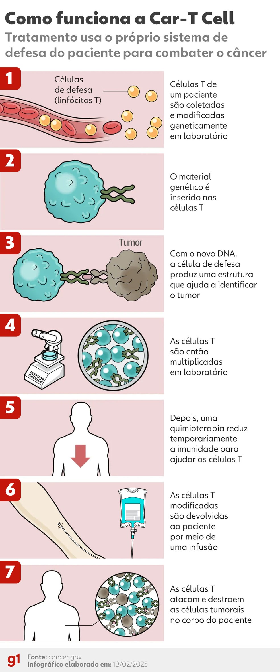 Car-T Cell — Foto: Arte/g1