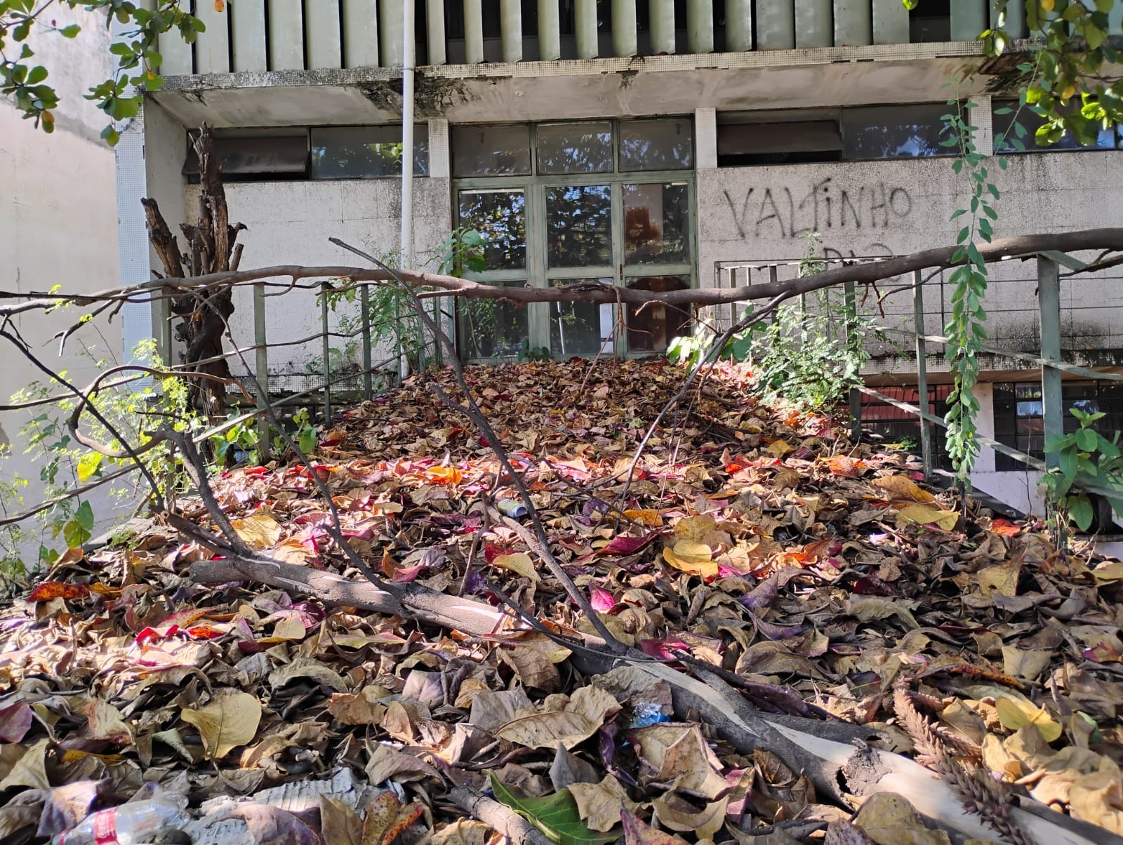 Bolor, mato alto e vidros danificados: prédio que abriga o Adolfo Lutz em Sorocaba tem sinais de abandono
