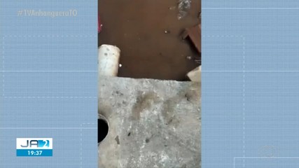 Sucuri é resgatada em tubulação urbana em Palmas; confira