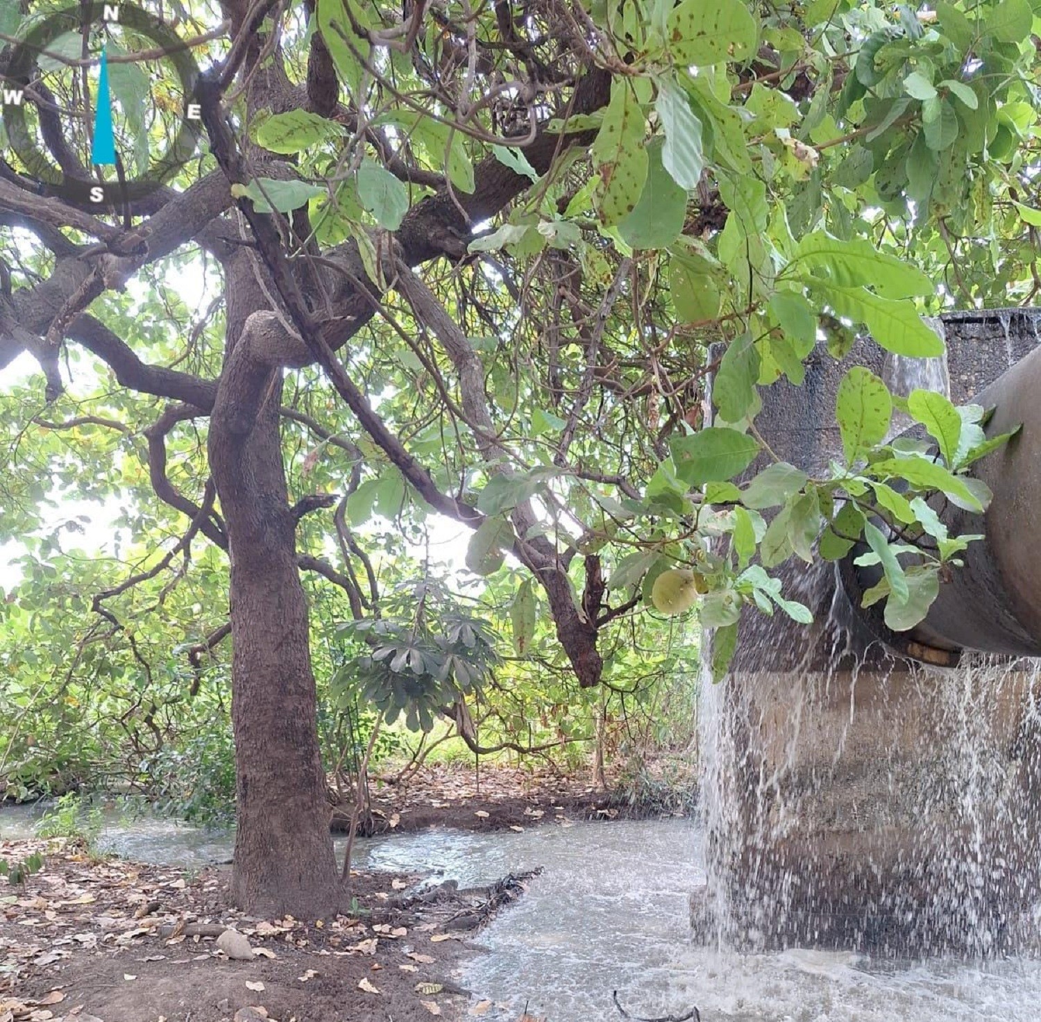 BRK é multada em R$ 1,7 milhão por vazamento de esgoto no sistema de drenagem que chega ao lago de Palmas 