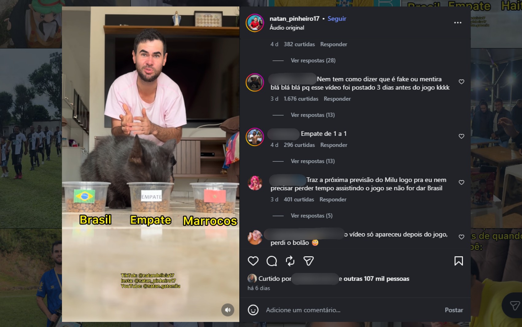 Gato 'vidente' que acertou empate entre Brasil e Marrocos aposta em vitória da Seleção contra o Haiti