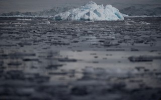 Nível de gelo marinho atinge baixa histórica na Antártida e gera preocupação
