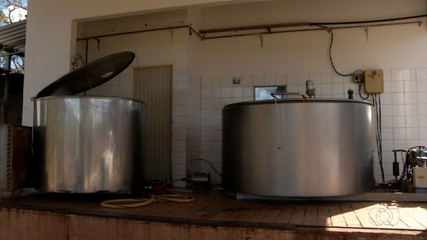 Produtor de leite explica os motivos do aumento de preço do produto