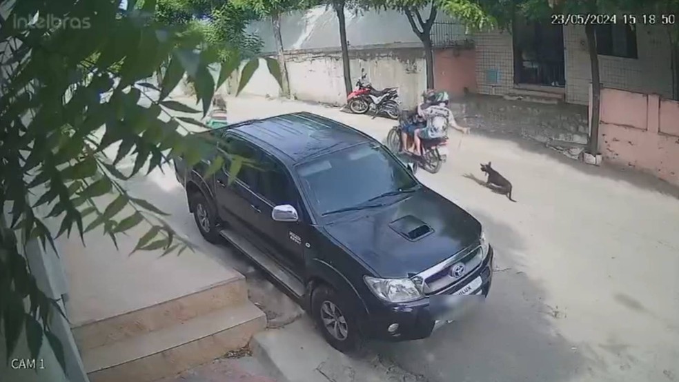 Cachorro foi arrastado por homem de moto nas ruas de Canindé — Foto: Reprodução
