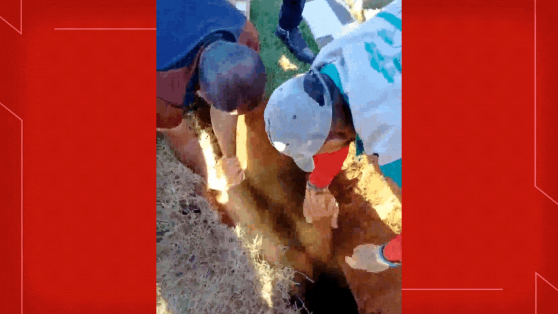 Homem cai e fica preso em cova de cemitério na Asa Sul; veja VÍDEO