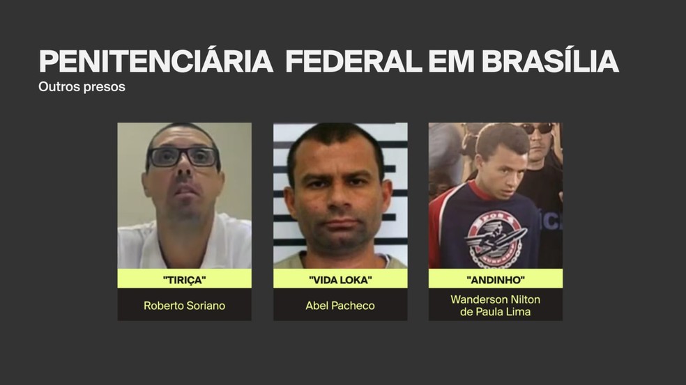 "Tiriça", "Vida Loka" e "Andinho" — Foto: Arte / g1