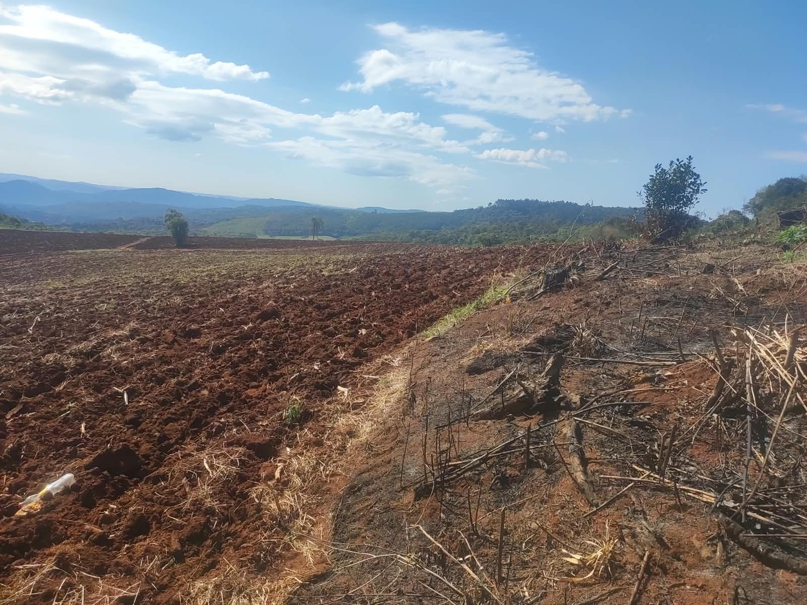Operação 'Mata Atlântica em Pé' aplica R$ 14,2 milhões em multas no Paraná