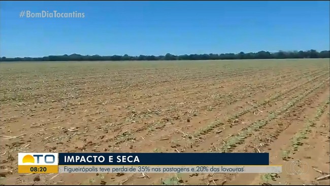 Figueirpolis perde 35% do pasto e 20% da lavoura pela seca