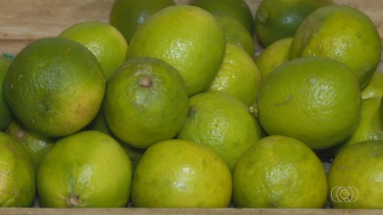 Consumo de frutas e legumes da estação ajuda a economizar e garante mais qualidade e sabor