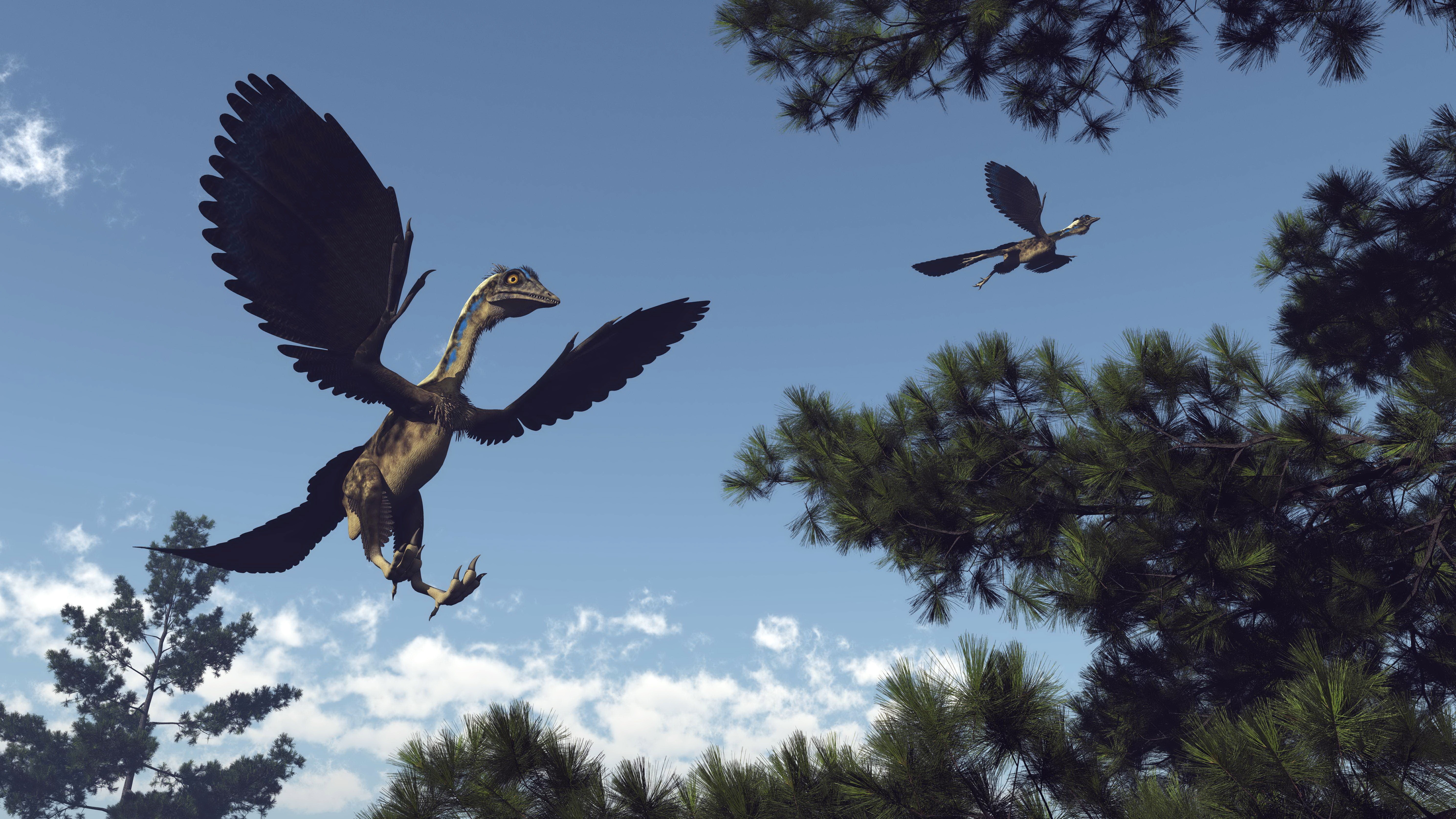 Archaeopteryx: estudo revela como a ‘primeira ave’ levantava voo há 150 milhões de anos