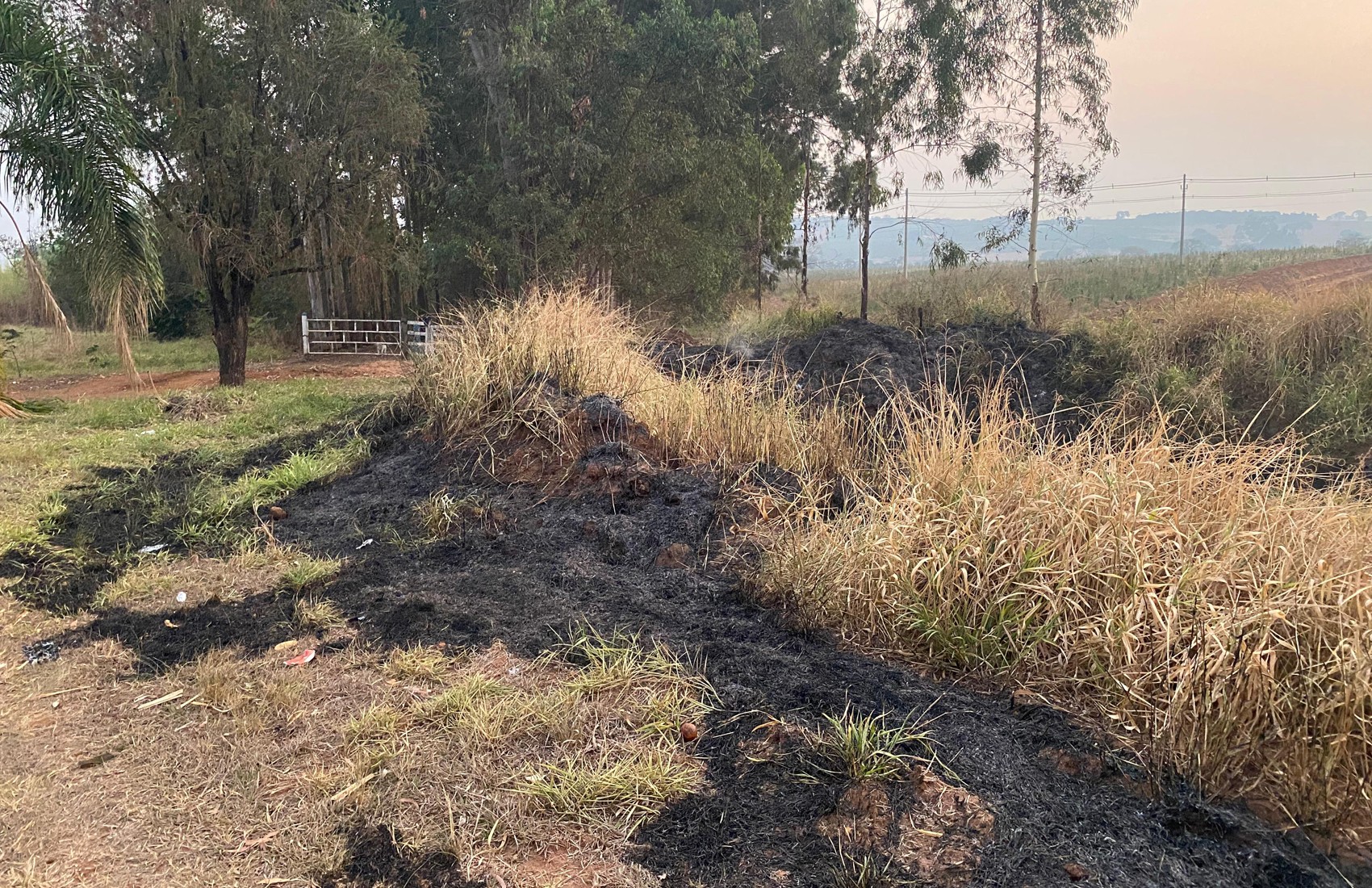 Guarda Civil prende homem por incêndio na zona rural de Santo Antônio da Alegria; prisões em SP sobem para 13