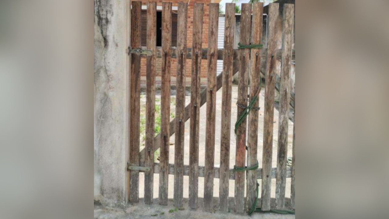 Pitbull foge de casa, mata cachorro e deixa casal ferido em Caraguatatuba, no Litoral Norte de SP