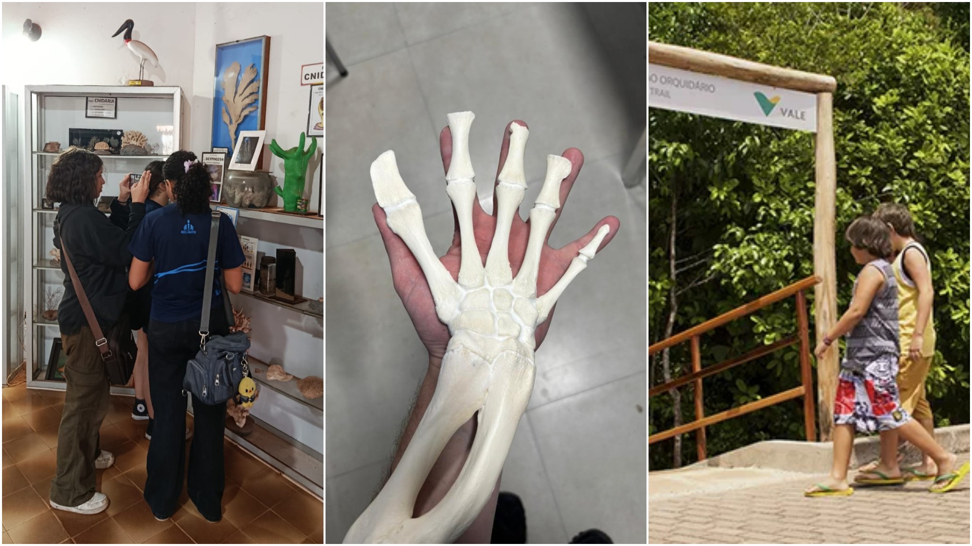 Conheça locais na Grande São Luís para visitar em 2026 e aprender sobre o cuidado com a natureza