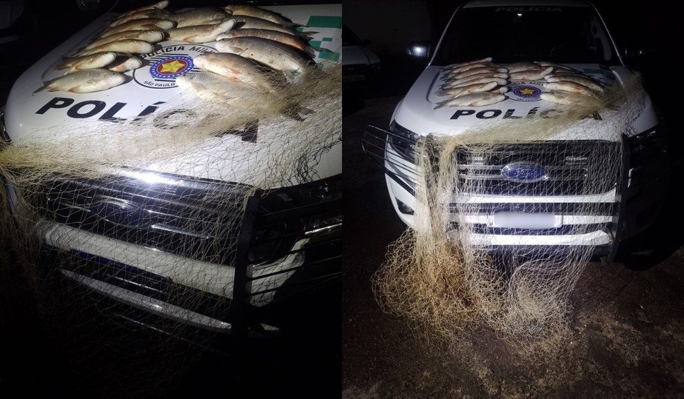 Quase 20 kg de peixes são apreendidos após dupla fugir de abordagem no Rio Aguapeí, em Lucélia (SP) — Foto: Polícia Militar Ambiental/Divulgação