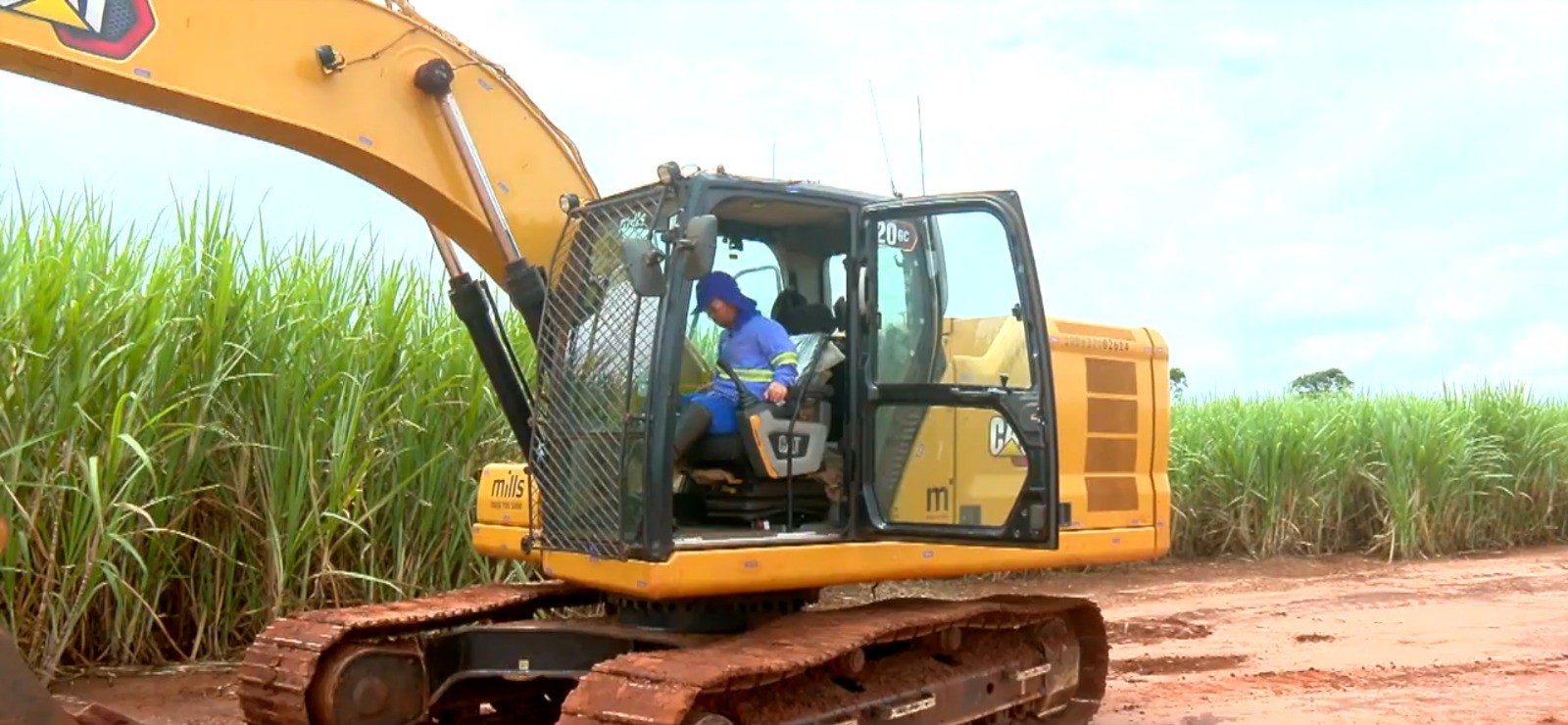 Inclusão no campo: setores da economia têm se destacado na geração de emprego