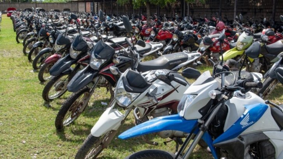Todos os itens leiloados foram apreendidos por circularem irregularmente em via pública. — Foto: Divulgação